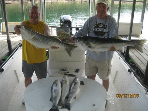 Nice Striped Bass